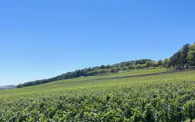  © Château de Lachassagne