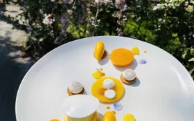 l'assiette autour de la mangue  © libre de droit