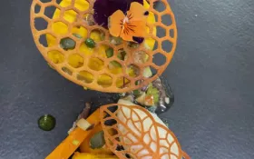 Le potiron © libre de droit