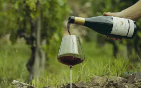  © (c) Tous droits reserves