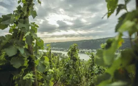  © (c) Tous droits reserves