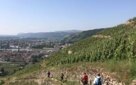 © Terres de Syrah