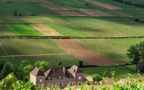 © Chateau de la Greffière