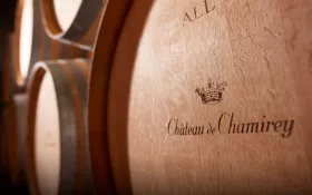 Winegrowing estate - Château de Chamirey