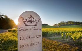 Winegrowing estate - Château de Chamirey