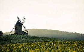 © Château du Moulin-à-Vent