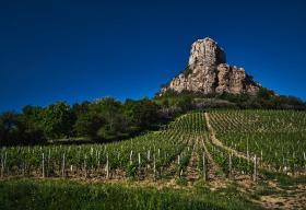 Vignobles de Bourgogne