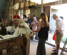 Visite d'une ferme de chèvres du Pilat © DR / Rhône trip