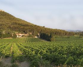 Château Barbanau © Sophie Simonini-Cerciello Château Barbanau