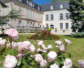 1---Parc-chateau-Dufouleur