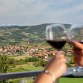 Vue panoramique sur le Beaujolais