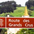 Grands Crus de la Côte de Nuits