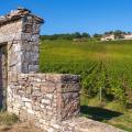 La Côte Chalonnaise, vins et itinérance