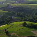 Vue des coteaux du Beaujolais