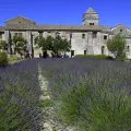 Monastère Saint Paul de Mausole