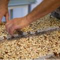Nougat