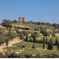 Vallée du Rhone Châteauneuf du Pape