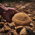 Territoire de la Vallée de la Gastronomie - France