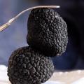 Truffe noire