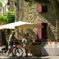Miel de Provence