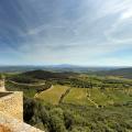 VINS-COTES-DU-RHONE-GARDOISES