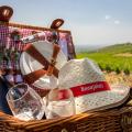 Pique-nique et après-midi dans les vignes du Beaujolais à Villefranche sur Saône