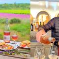 Picnic in the Lavender Fields and wine tasting at Domaine De Montine winegrowing estate, in Grignan, France