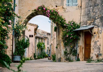 G.Reynard © G.Reynard