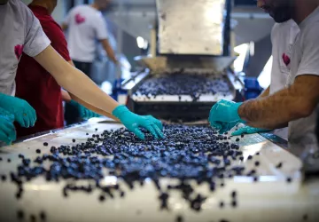 Domaine Les Amoureuses