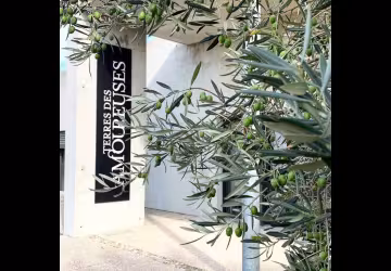 Domaine Les Amoureuses