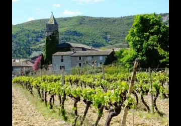 producteur - caveaudesvignerons - valvigneres