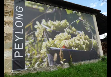 Domaine Peylong