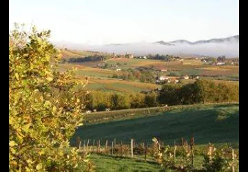 paysage SUBRIN