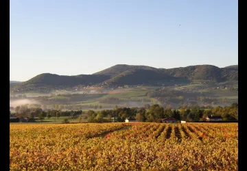 Domaine du Crêt de Bine