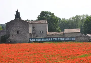Moulin à Huile d'Olive