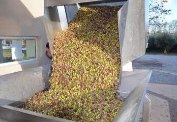 parole-dolives-bourg-saint-andeol