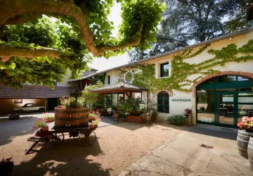 Boutique P. Ferraud et Fils