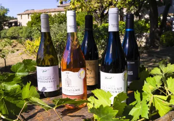 Vins-du-domaine