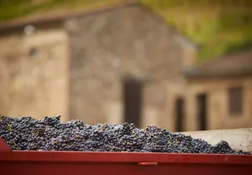 Maison Delas frères