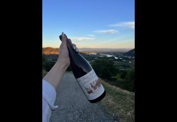 Domaine de Gouye