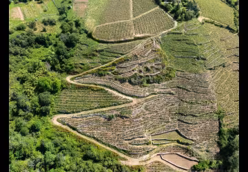 Mouton Père & Fils
