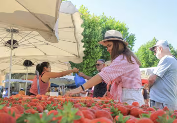 Marché nyonsais du jeudi_Nyons