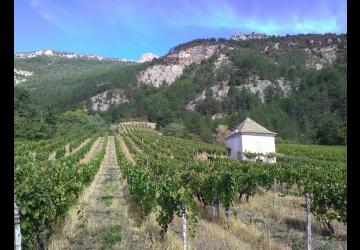 Cave Poulet et Fils