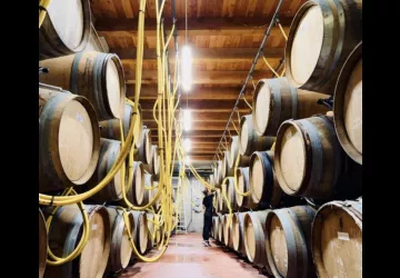 Domaine Pierre Gaillard