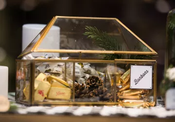 Violette et Berlingot