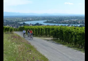 Balades viticoles en vélo électrique