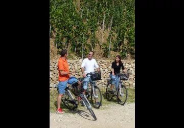 Balades viticoles en vélo électrique