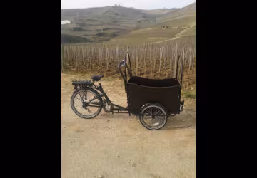 Triporteur Fabien Louis