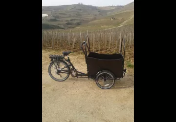 Triporteur Fabien Louis