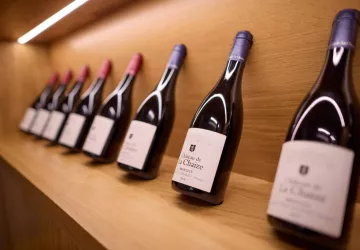 Domaine du Château de La Chaize